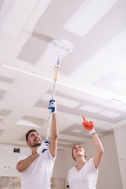 Best Mold Damage Restoration  in Middletown, OH