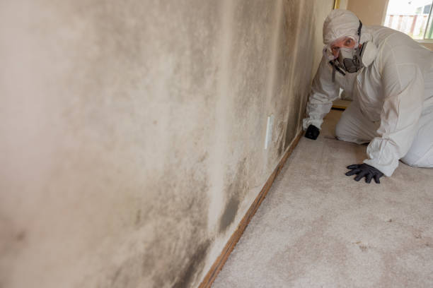 Best Airborne Mold Testing  in Middletown, OH