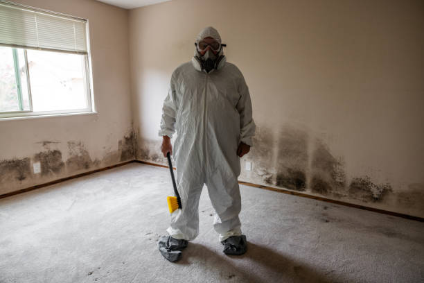 Best Mold Removal for HVAC Installations  in Middletown, OH